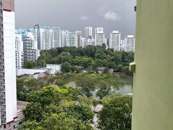 Blk 175 Lompang Road (Bukit Panjang), HDB 5 Rooms #575492881